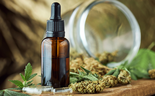 Exploring the Various Ways to Consume CBD: Finding the Best Fit for You